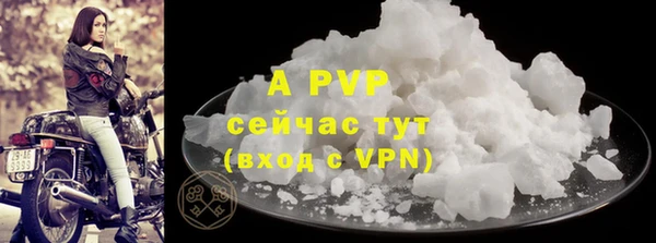 a pvp Богданович